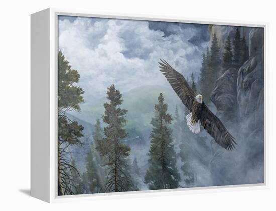 Soaring High II-B. Lynnsy-Framed Stretched Canvas