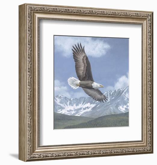 Soaring High-Todd Telander-Framed Art Print