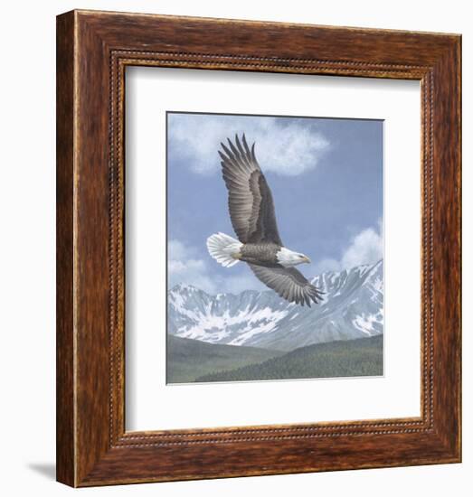 Soaring High-Todd Telander-Framed Art Print