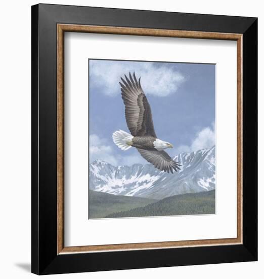 Soaring High-Todd Telander-Framed Art Print