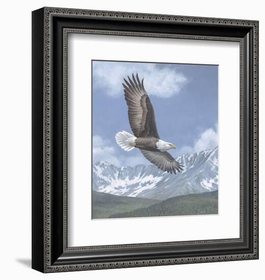 Soaring High-Todd Telander-Framed Art Print