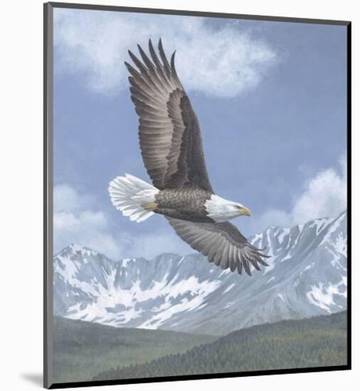 Soaring High-Todd Telander-Mounted Art Print