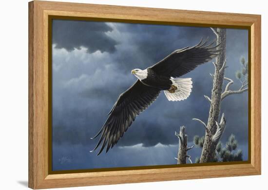 Soaring Wings-Wilhelm Goebel-Framed Premier Image Canvas
