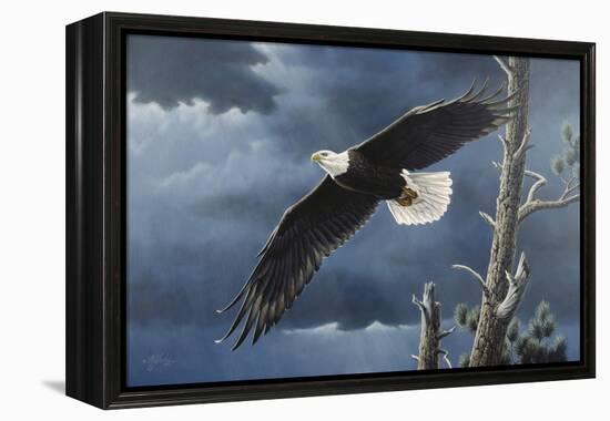 Soaring Wings-Wilhelm Goebel-Framed Premier Image Canvas