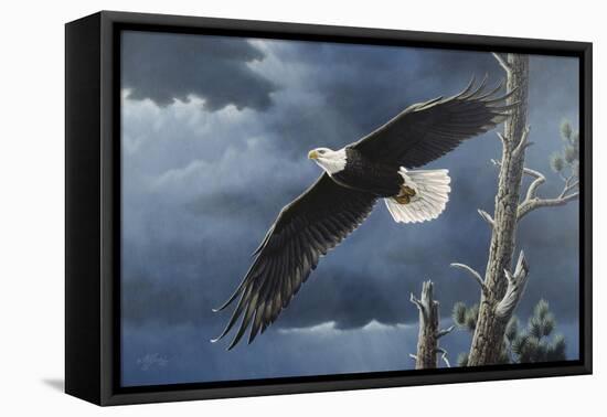 Soaring Wings-Wilhelm Goebel-Framed Premier Image Canvas