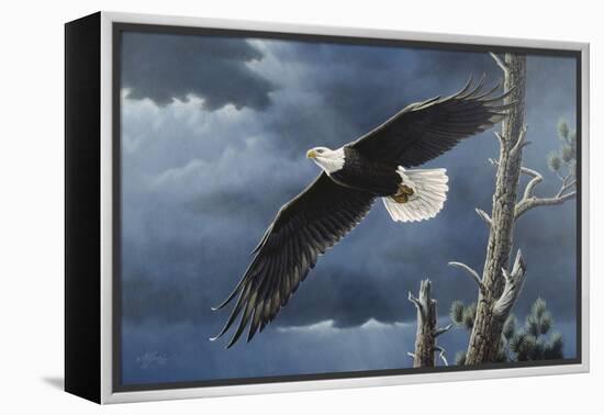 Soaring Wings-Wilhelm Goebel-Framed Premier Image Canvas