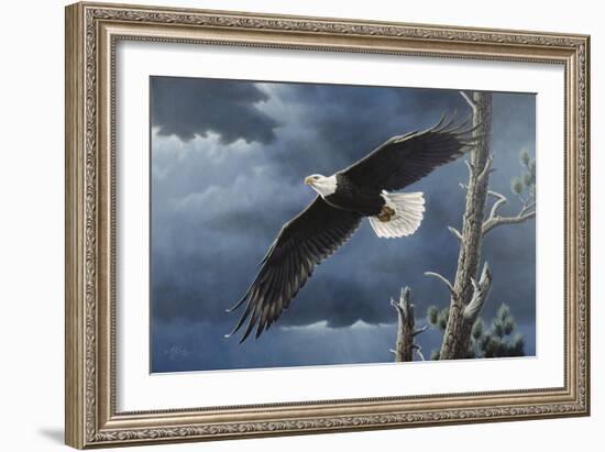 Soaring Wings-Wilhelm Goebel-Framed Giclee Print