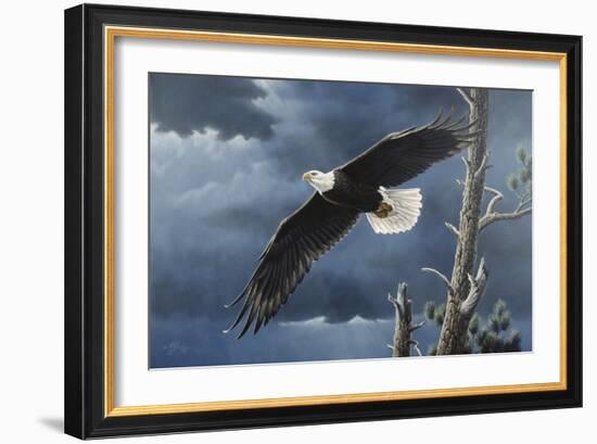 Soaring Wings-Wilhelm Goebel-Framed Giclee Print