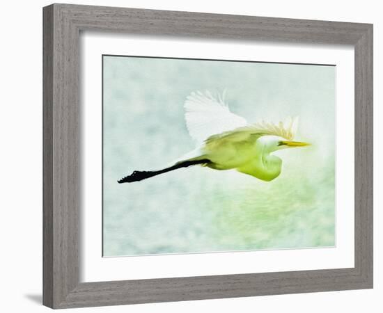 Soaring with Determination-Mary Lou Johnson-Framed Photo