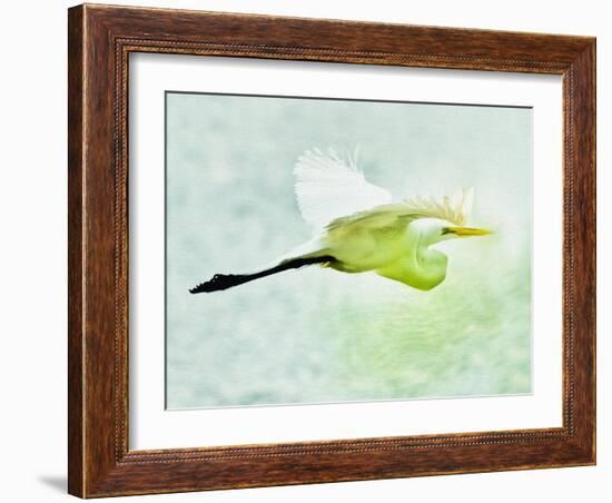 Soaring with Determination-Mary Lou Johnson-Framed Photo