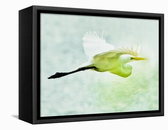 Soaring with Determination-Mary Lou Johnson-Framed Stretched Canvas