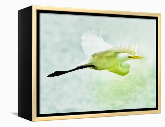 Soaring with Determination-Mary Lou Johnson-Framed Stretched Canvas