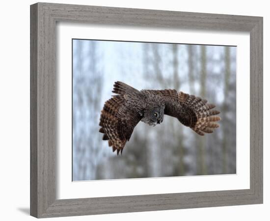 Soaring-Peter Stahl-Framed Photographic Print