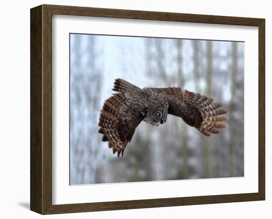 Soaring-Peter Stahl-Framed Photographic Print