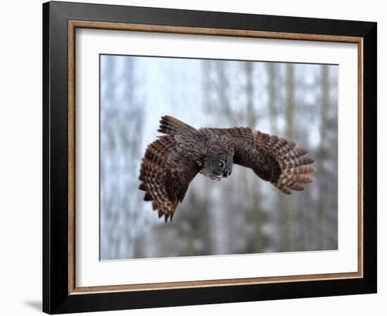 Soaring-Peter Stahl-Framed Photographic Print