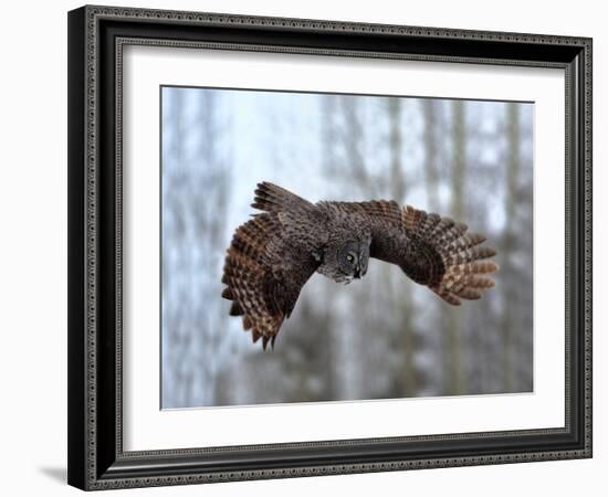 Soaring-Peter Stahl-Framed Photographic Print