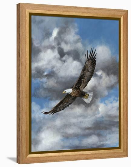 Soaring-Carolyn Mock-Framed Stretched Canvas