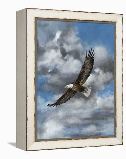Soaring-Carolyn Mock-Framed Stretched Canvas