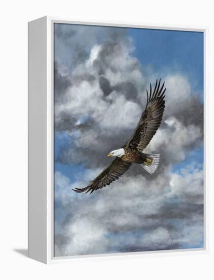 Soaring-Carolyn Mock-Framed Stretched Canvas