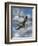 Soaring-Carolyn Mock-Framed Art Print