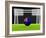 Soccer Australia-koufax73-Framed Art Print