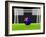 Soccer Australia-koufax73-Framed Art Print