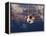 Soccer Ball Going Into Goal Net-Randy Faris-Framed Premier Image Canvas