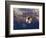 Soccer Ball Going Into Goal Net-Randy Faris-Framed Photographic Print