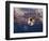 Soccer Ball Going Into Goal Net-Randy Faris-Framed Photographic Print