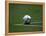 Soccer Ball in Corner Kick Position-Paul Sutton-Framed Premier Image Canvas