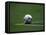 Soccer Ball in Corner Kick Position-Paul Sutton-Framed Premier Image Canvas
