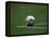 Soccer Ball in Corner Kick Position-Paul Sutton-Framed Premier Image Canvas