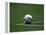 Soccer Ball in Corner Kick Position-Paul Sutton-Framed Premier Image Canvas