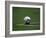 Soccer Ball in Corner Kick Position-Paul Sutton-Framed Photographic Print