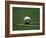 Soccer Ball in Corner Kick Position-Paul Sutton-Framed Photographic Print