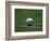 Soccer Ball in Corner Kick Position-Paul Sutton-Framed Photographic Print