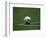 Soccer Ball in Corner Kick Position-Paul Sutton-Framed Photographic Print