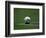 Soccer Ball in Corner Kick Position-Paul Sutton-Framed Photographic Print