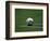 Soccer Ball in Corner Kick Position-Paul Sutton-Framed Photographic Print