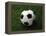 Soccer Ball in Grass-null-Framed Premier Image Canvas