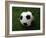 Soccer Ball in Grass-null-Framed Photographic Print