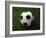 Soccer Ball in Grass-null-Framed Photographic Print