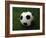 Soccer Ball in Grass-null-Framed Photographic Print