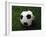 Soccer Ball in Grass-null-Framed Photographic Print