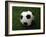 Soccer Ball in Grass-null-Framed Photographic Print