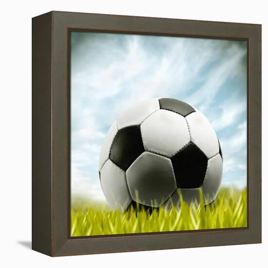 Soccer Ball Resting on Grass-null-Framed Premier Image Canvas