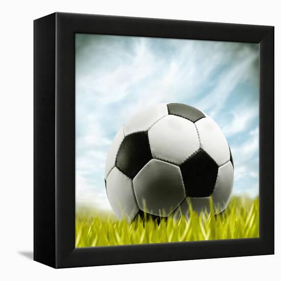 Soccer Ball Resting on Grass-null-Framed Premier Image Canvas