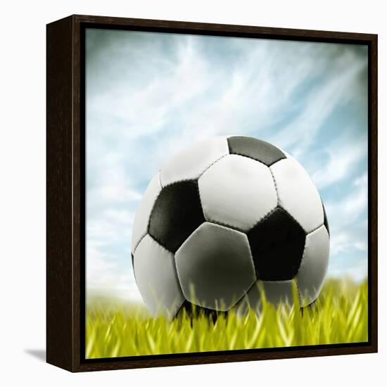 Soccer Ball Resting on Grass-null-Framed Premier Image Canvas