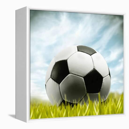 Soccer Ball Resting on Grass-null-Framed Premier Image Canvas