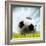 Soccer Ball Resting on Grass-null-Framed Photographic Print